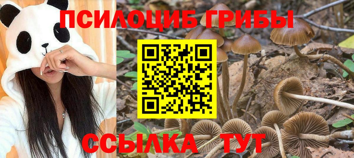 Галлюциногенные грибы GOLDEN TEACHER Кисловодск