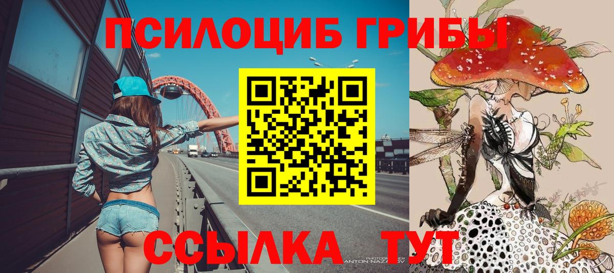 Кисловодск  где купить   Вход с VPN  Галлюциногенные грибы MAGIC MUSHROOMS 