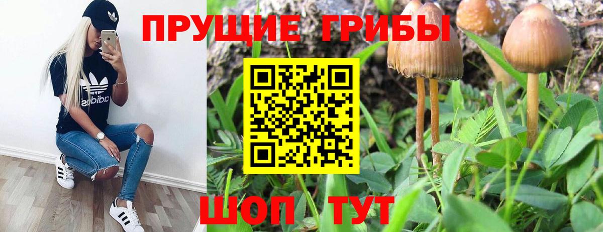 Галлюциногенные грибы MAGIC MUSHROOMS Кисловодск