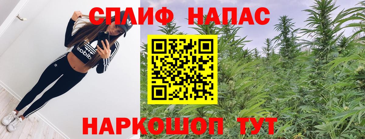 Конопля тримм Кисловодск